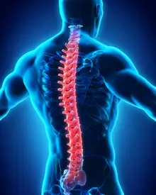 st-petersburg-spinal-cord-injuries.jpg